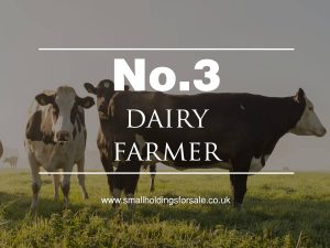 Dairy Farm Smallholding