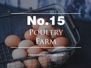 Poultry Farm Smallholding