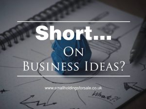 Short On Smallholdings Business Ideas