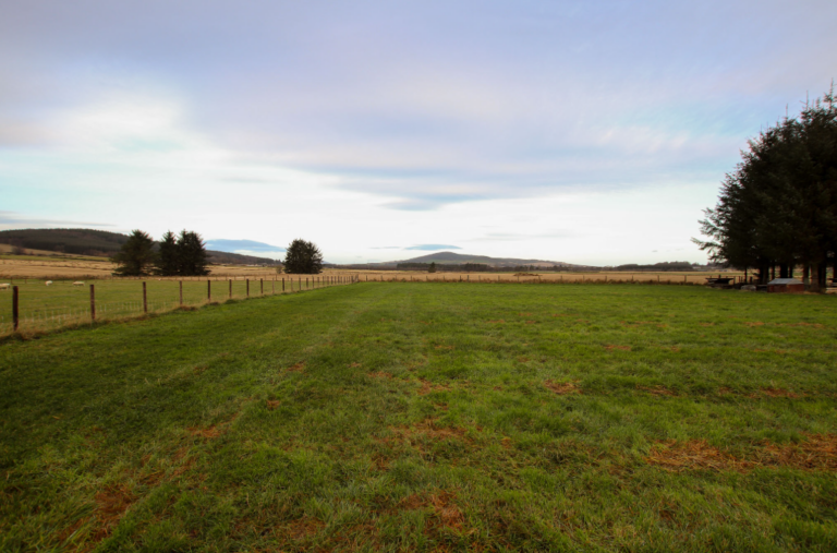 Smallholdings for sale in scotland